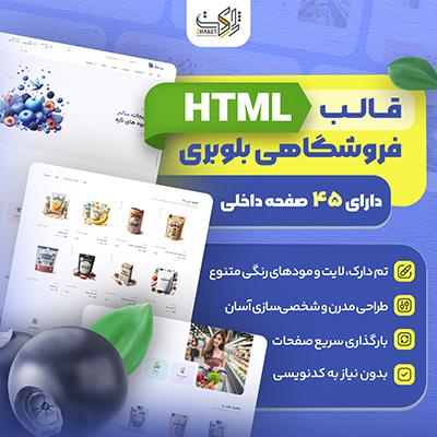 قالب فروشگاهی HTML بلوبری | قالب blueberry