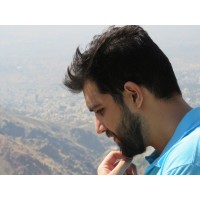 amir malek