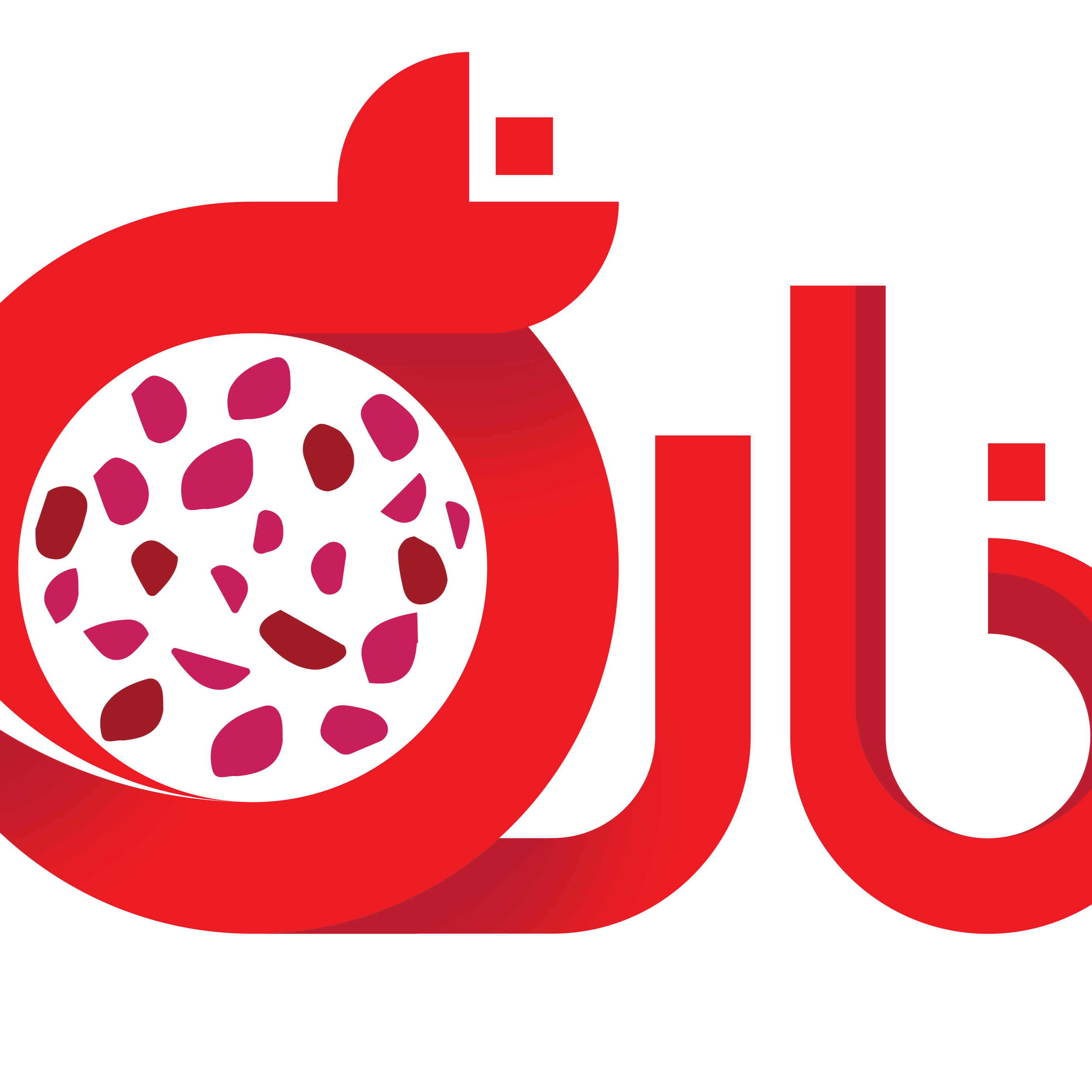 ناردونه