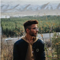خط فرمان وردپرس