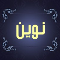 طراح نوین
