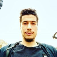 محمد مهدی ربیع پور