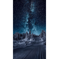 مهران دلاوریان