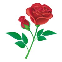 کاربر ژاکت
