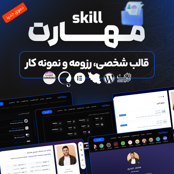 قالب شخصی، رزومه و نمونه کار مهارت | قالب Skill