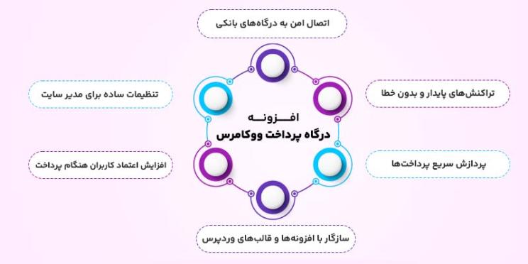 ویژگی های افزونه های درگاه پرداخت