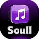 اسکریپت پخش موزیک سول موزیک | Soull Music