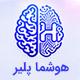 افزونه هوشما پلیر پرو | پلاگین Hoshma Player Pro